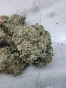 Larry Bird Kush 6 Larry Bird Kush