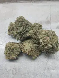Larry Bird Kush 5 Larry Bird Kush