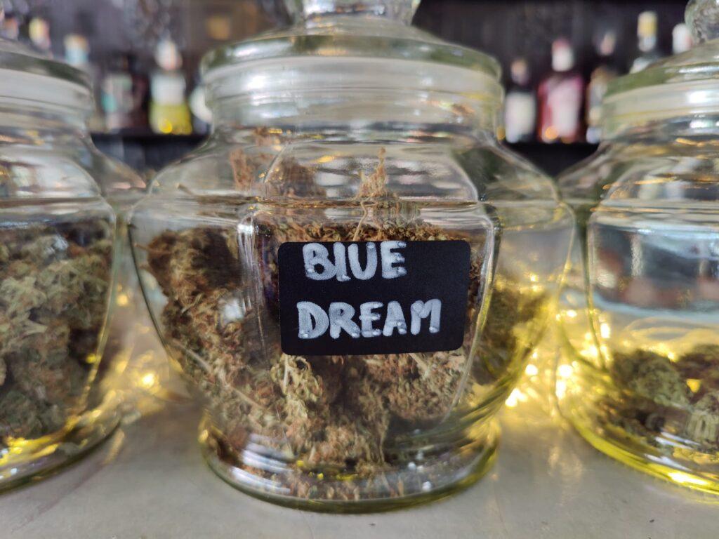 blue dream strain