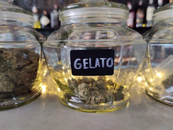 Gelato strain