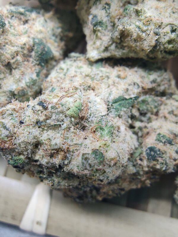 L.A. Kush - Image 3