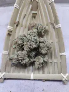 Critical Afro 6 Critical Afro