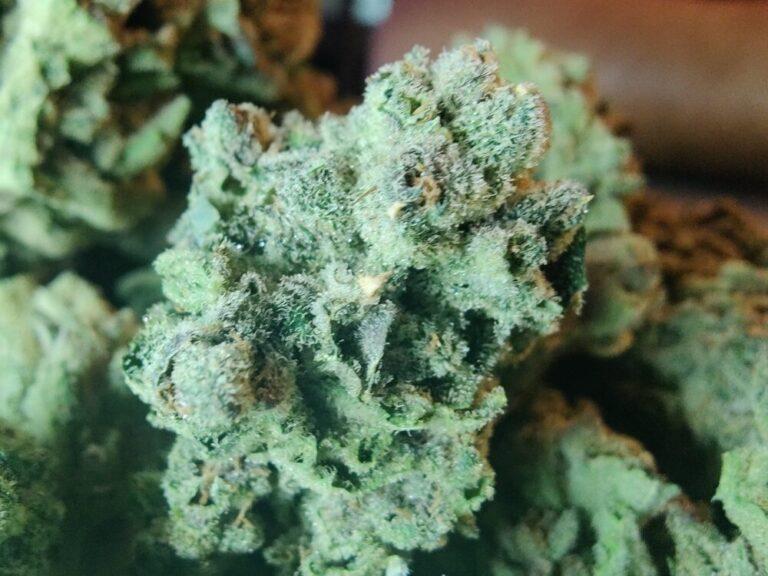 Dispensary Phuket