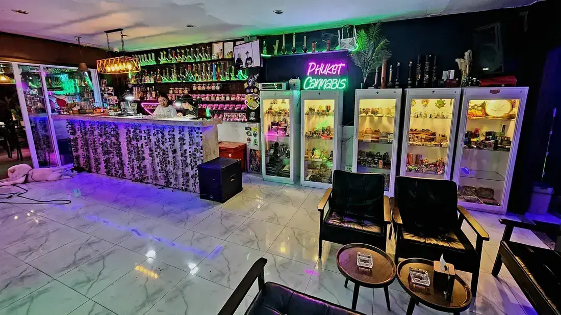 Twisted Lemon Weed Strain at Phuket Cannabis 2025 3 Phuket Weed Shop - Buy weed in Phuket Cannabis, Nanai Rd 90