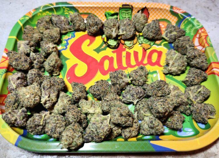 Is weed legal in Thailand
