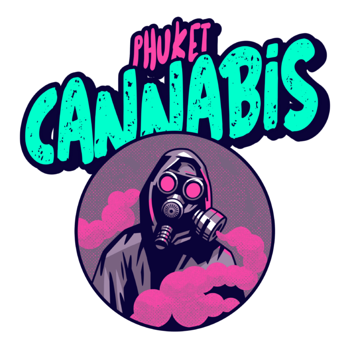 info-corner phuket cannabis patong