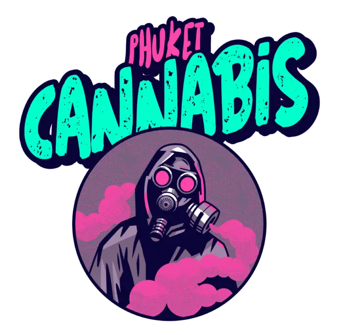 info-corner phuket cannabis patong