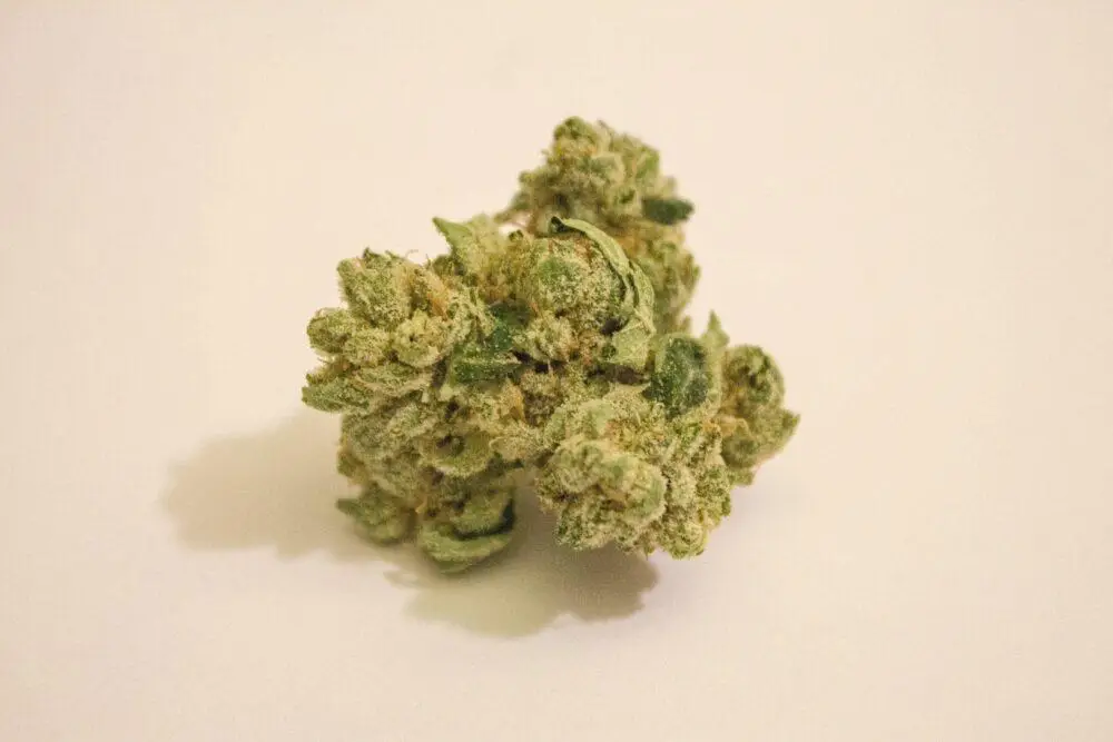 Buying Cannabis in Phuket