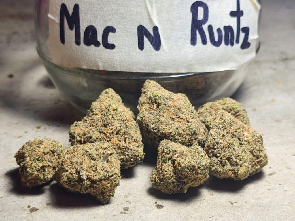 MAC 1 Strain