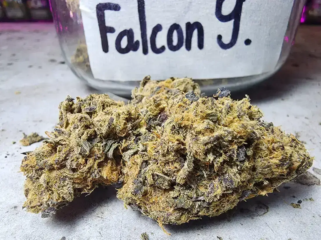 Falcon 9 1 buying weed in phuket