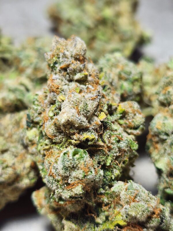 Cookies Gelato - Image 3