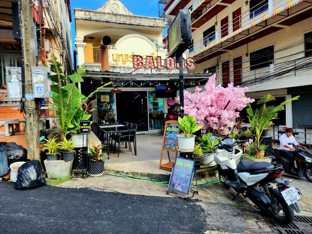 The Best Cannabis Store Phuket Tropical Island