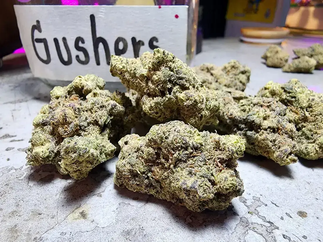 Gushers 1 Patong Cannabis