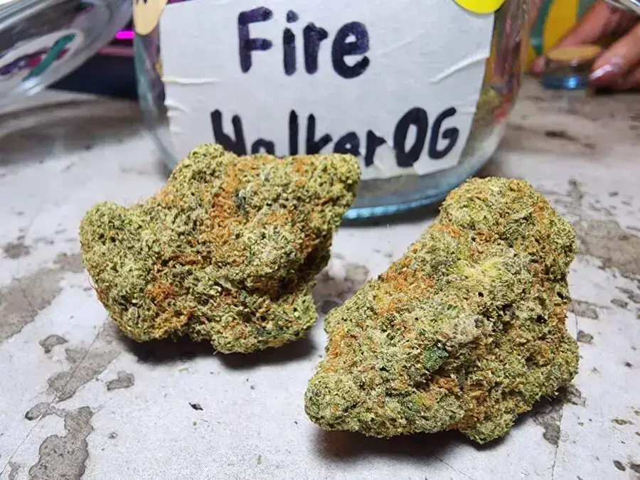 Fire Walker OG Classic Weed Strain Review 2025 1 Phuket Weed