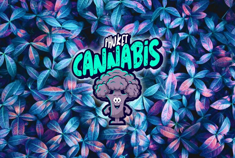 phuket cannabis patong design logo