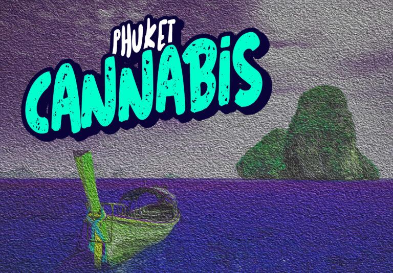 phuket cannabis patong phi phi island design