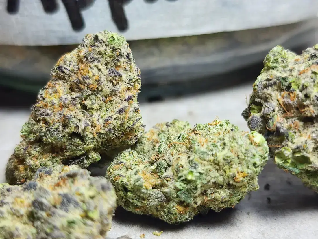 Apple Fritter Strain at Phuket Cannabis Patong 2026 2 Apple Fritter