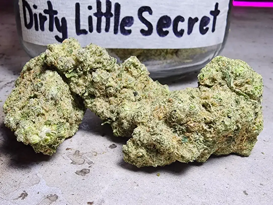 Dirty Little Secret 2 Dirty Little Secret