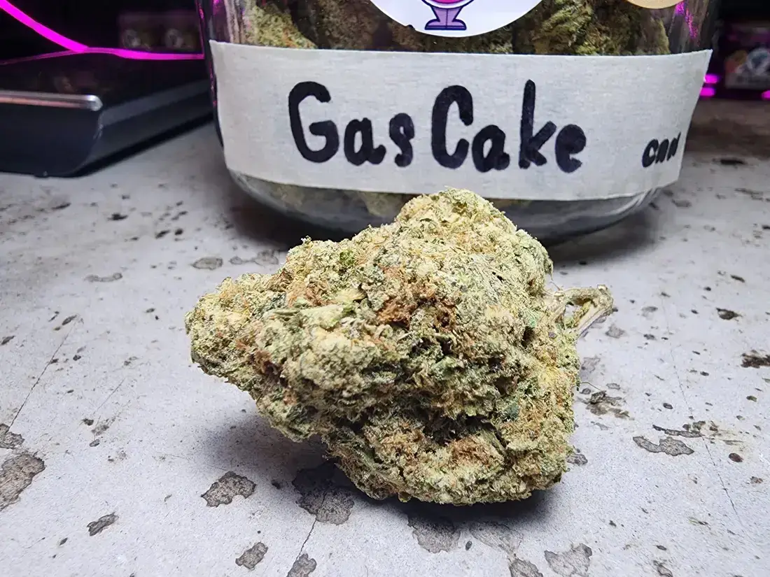 Gas Cake Weed Strain - Phuket Cannabis Shop Patong 1 gas cake strain jungle boyz