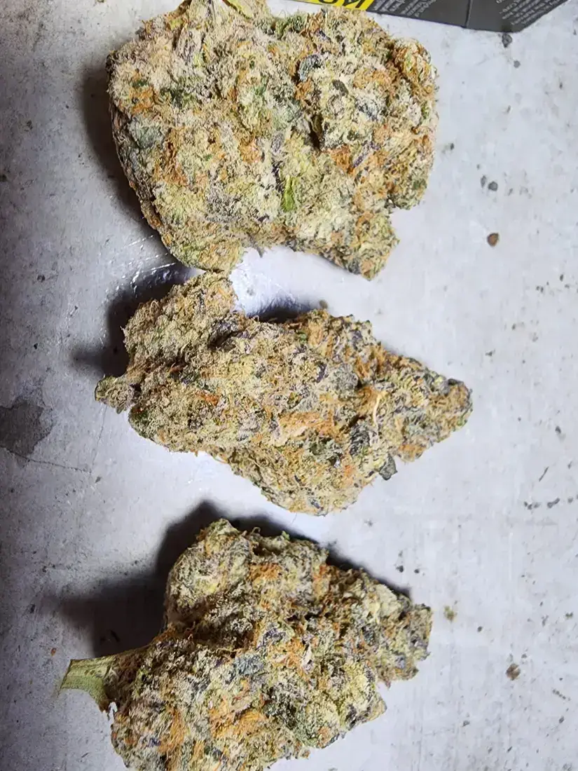Gas Cake Weed Strain - Phuket Cannabis Shop Patong 2 gas cake strain