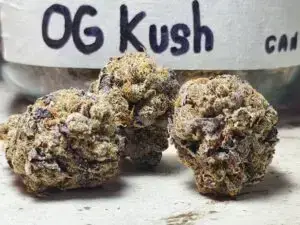 OG Kush 6 og kush strain phuket cannabis