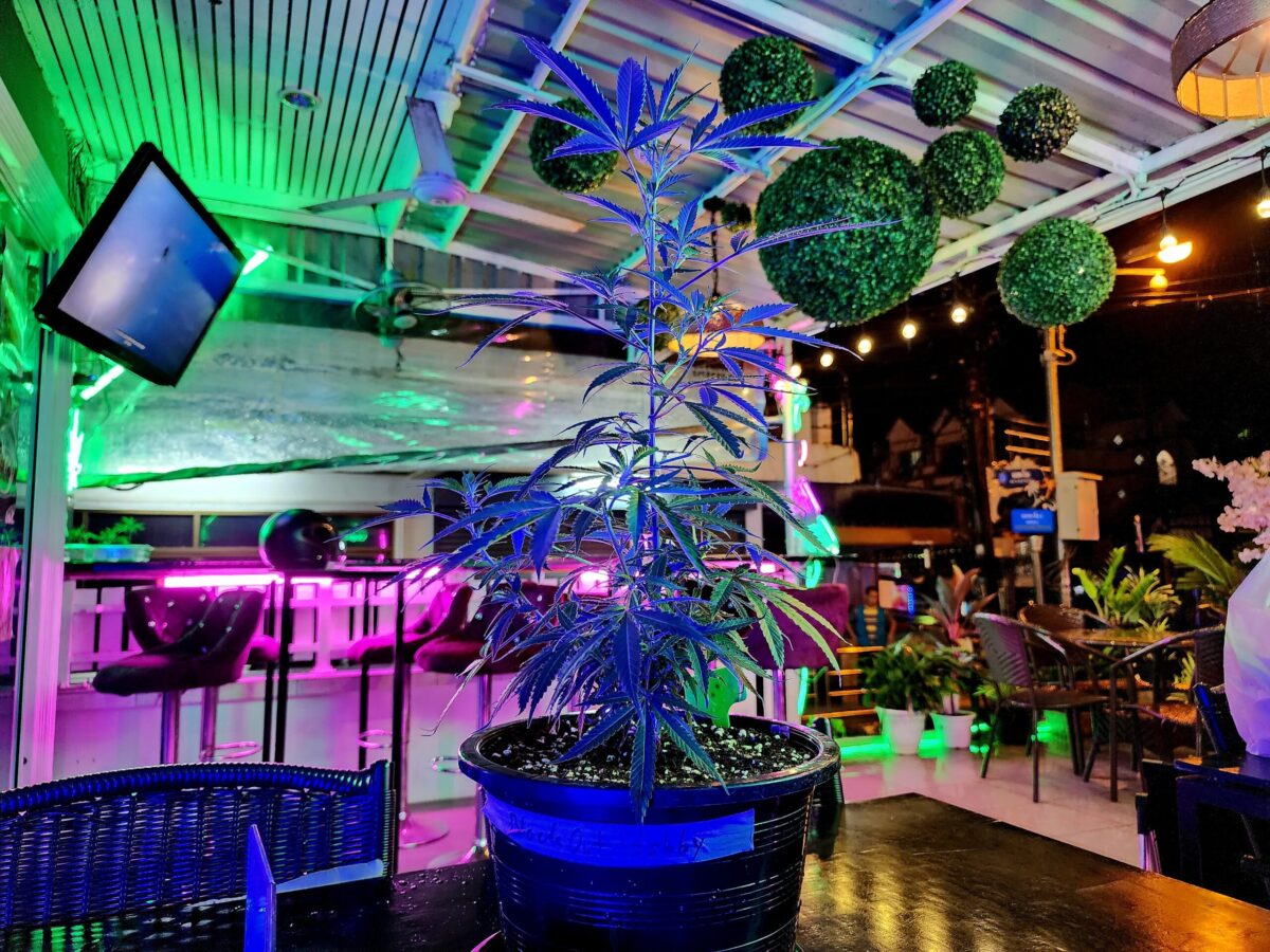 Phuket Weed Bar