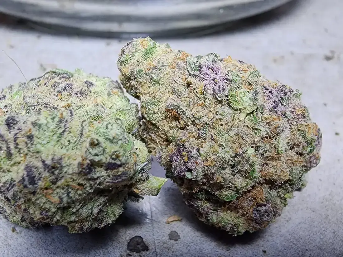 Sour Stomper Weed Strain - Phuket Cannabis 2025 2 Sour Stomper