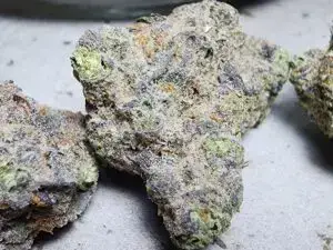 Sour Stomper Weed Strain - Phuket Cannabis 2025 5 Sour Stomper