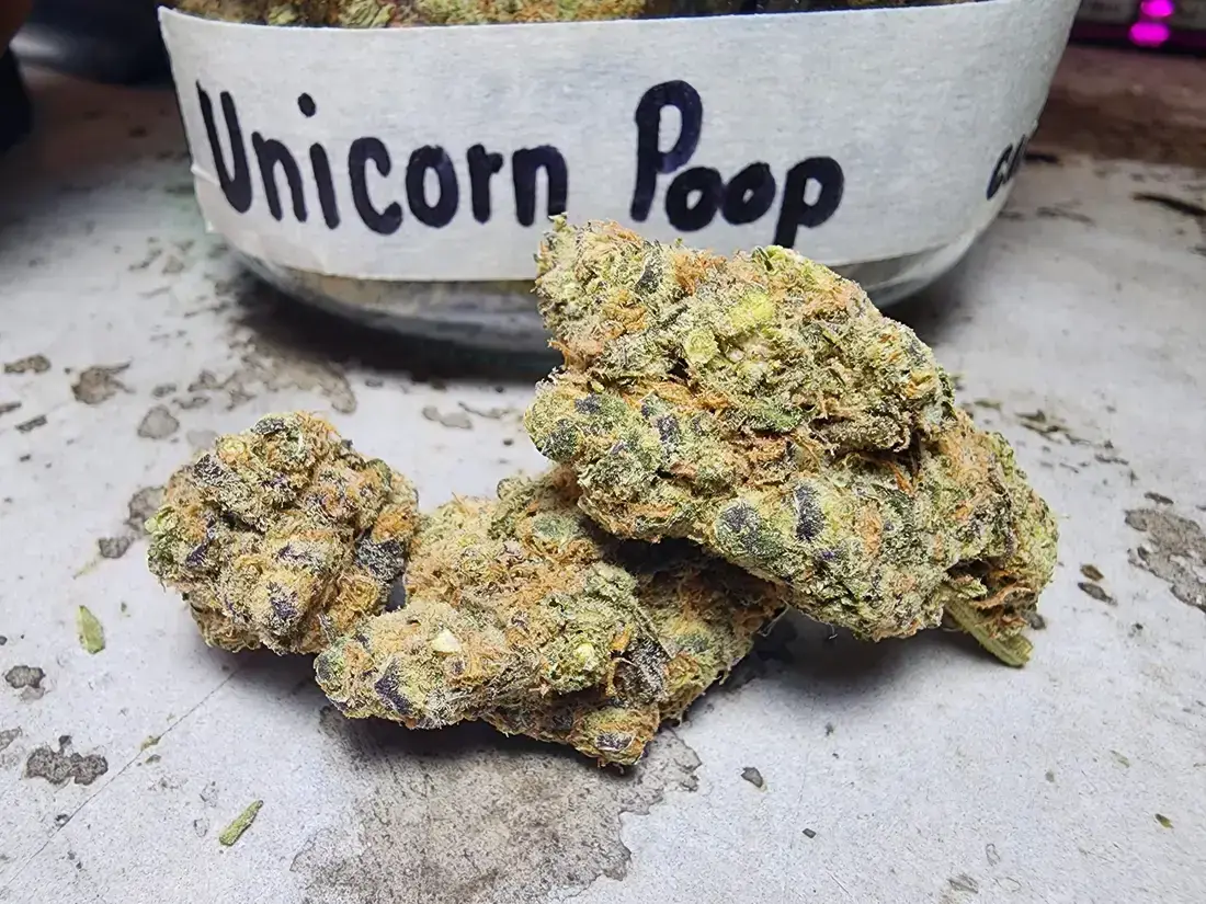 Unicorn Poop Weed Strain at Phuket Cannabis Store 1 unicorn poop