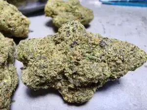 Zoap 9 zoap weed strain
