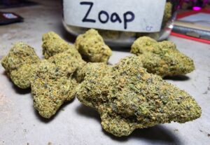 weed for sale