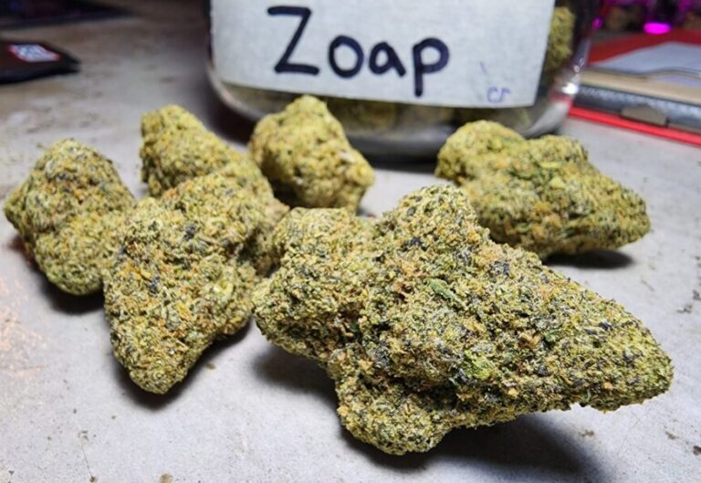 zoap weed strain