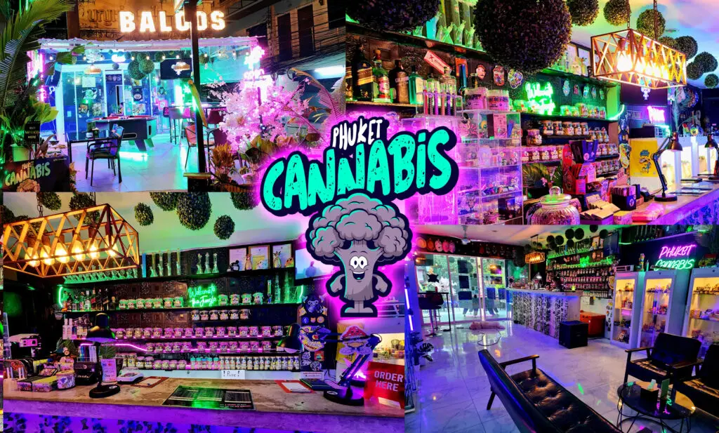 weed in phuket cannabis shop