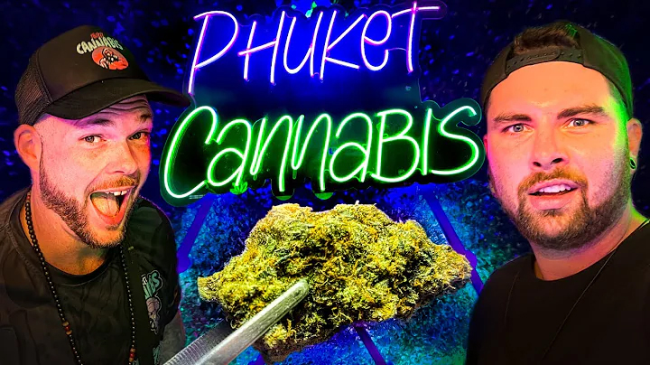 phuket cannabis best weed bar in patong youtube video brennybrez