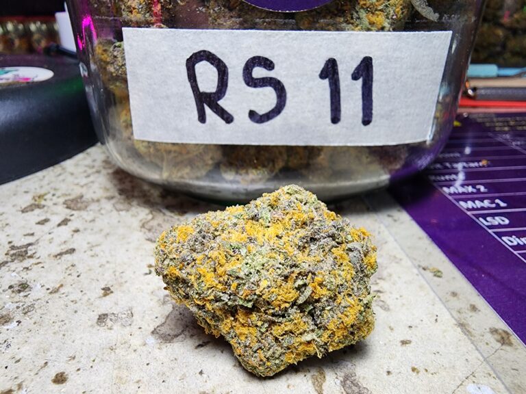 cali weed phuker cannabis patong rs 11 rs11