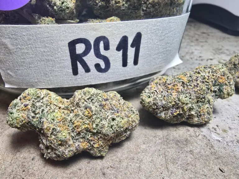 RS 11 Strain