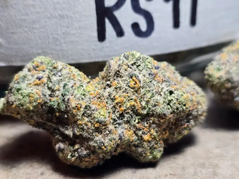 RS 11 Strain