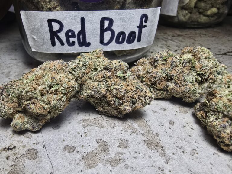 Medical Cannabis Phuket