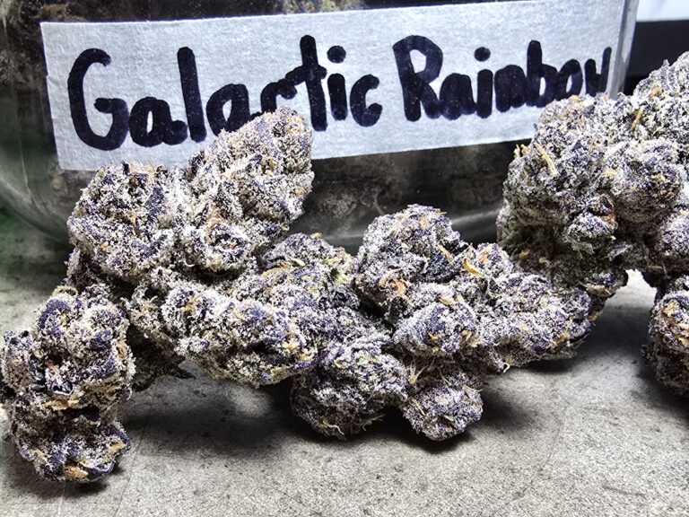 gsc strain