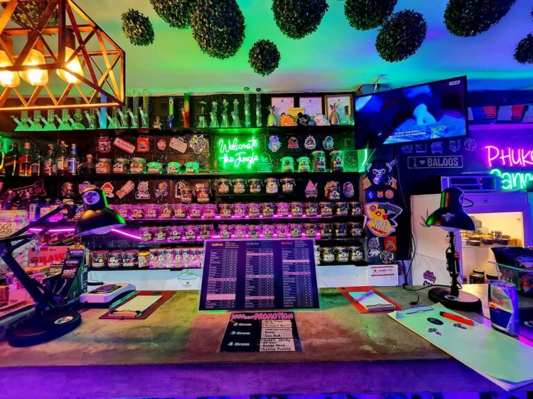 Best weed shop in phuket cannabis