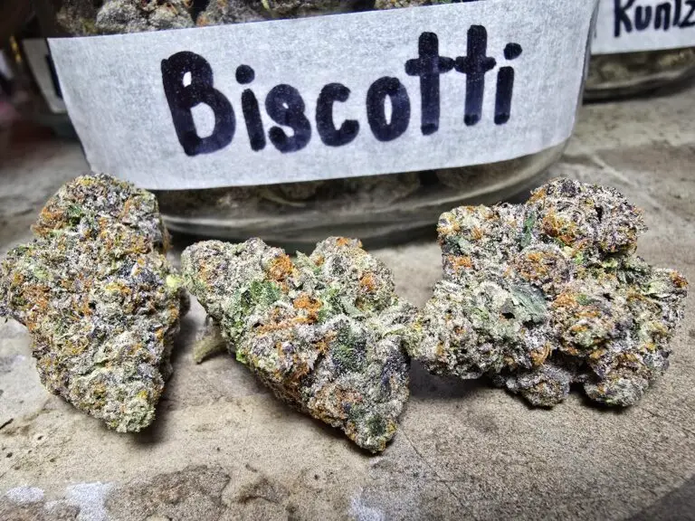 Patong Beach Bangla Walking Street