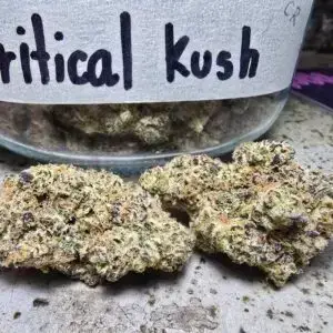 Critical kush phuketcannabis patong
