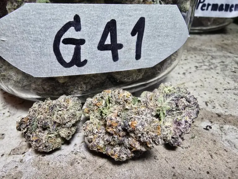 Phuket Cannabis Store