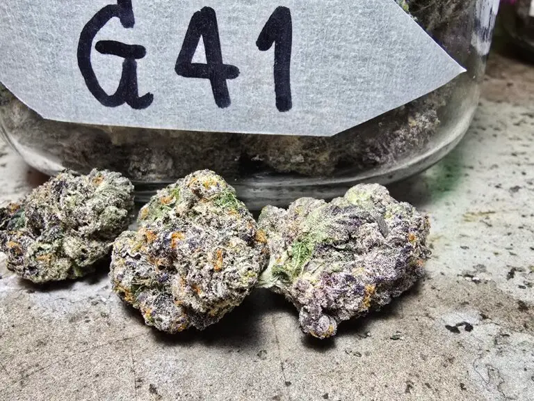 Phuket Cannabis Store