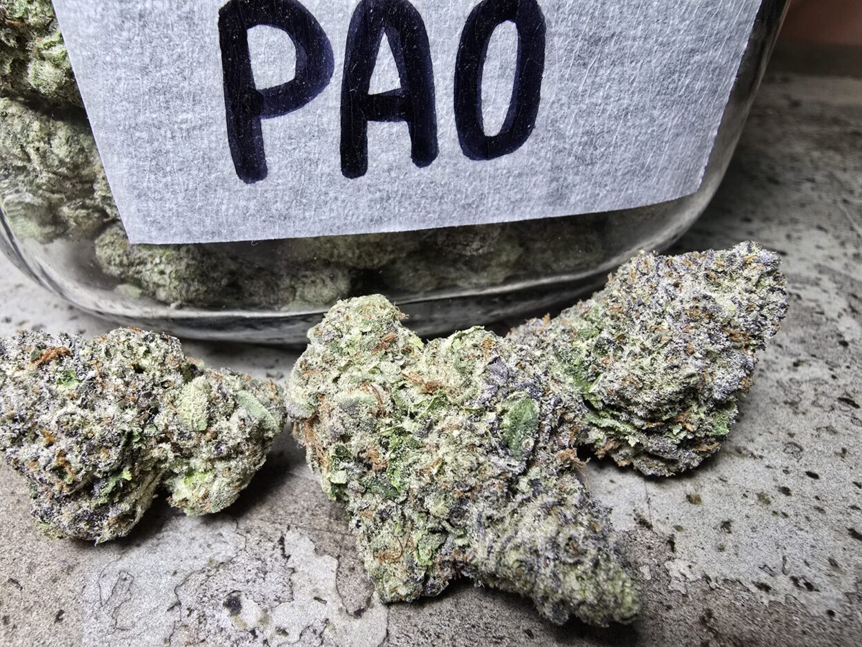 Patong Weed Store