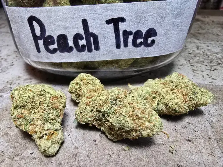 Best Dispensaries in Thailand