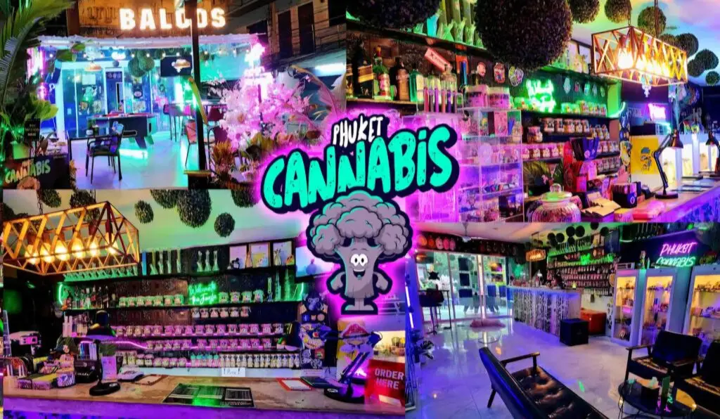 Best Dispensaries in Thailand