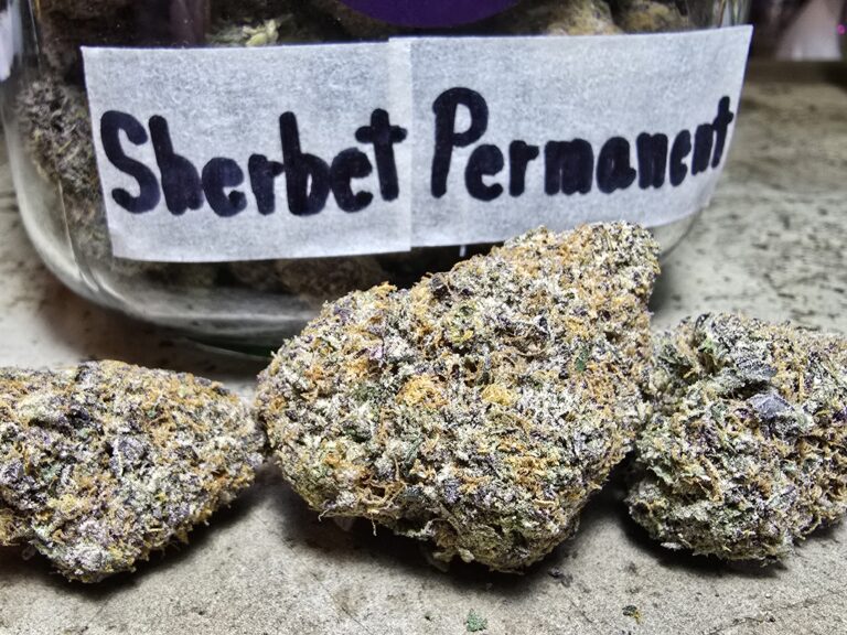 Is weed still legal in Thailand in 2025