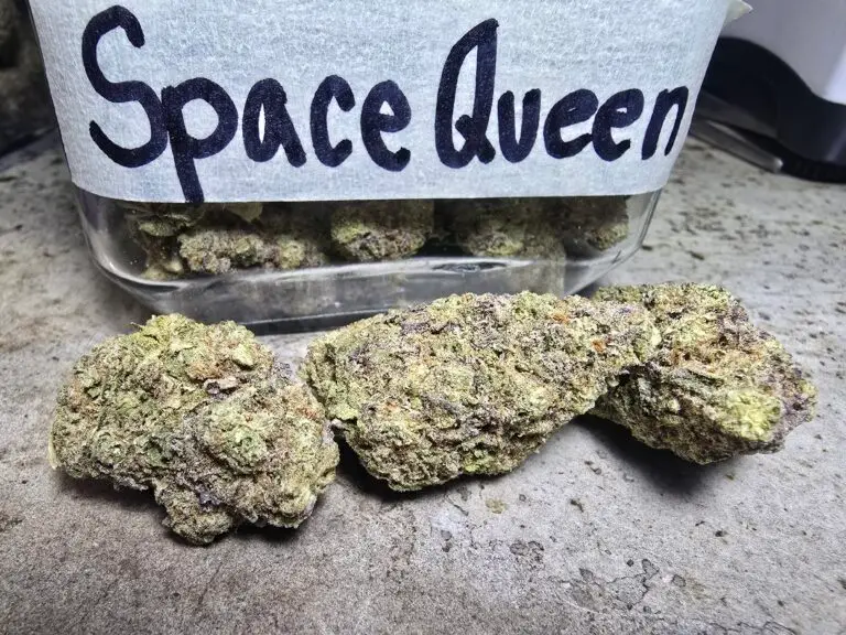 Patong Beach Bangla Walking Street