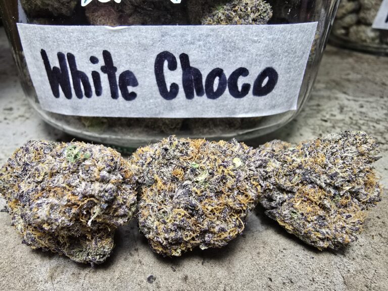 Phuket Cannabis Dispensary Patong